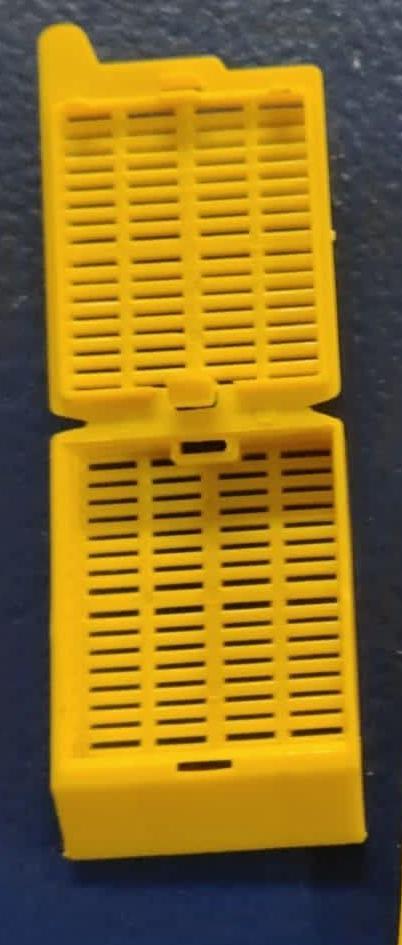 Tissue Embedded Cassette