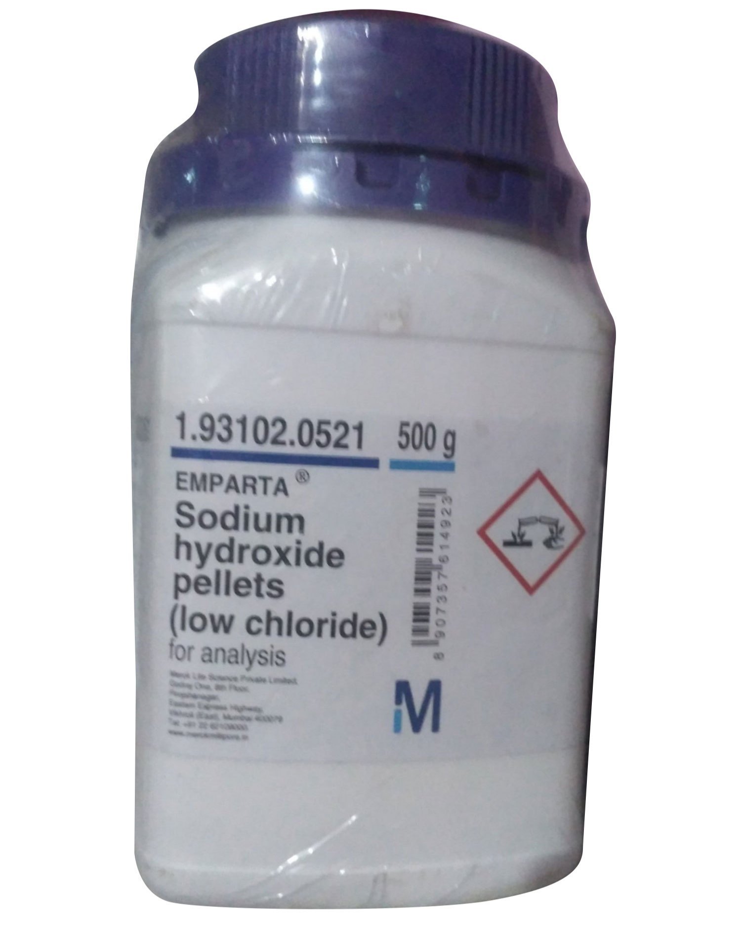 Animal Cell Model (3D)